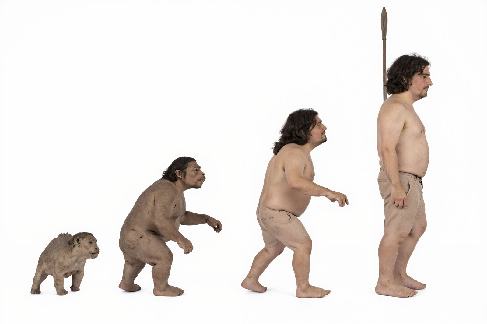 Einleitung zu „Florians neuer Evolutionstheorie“