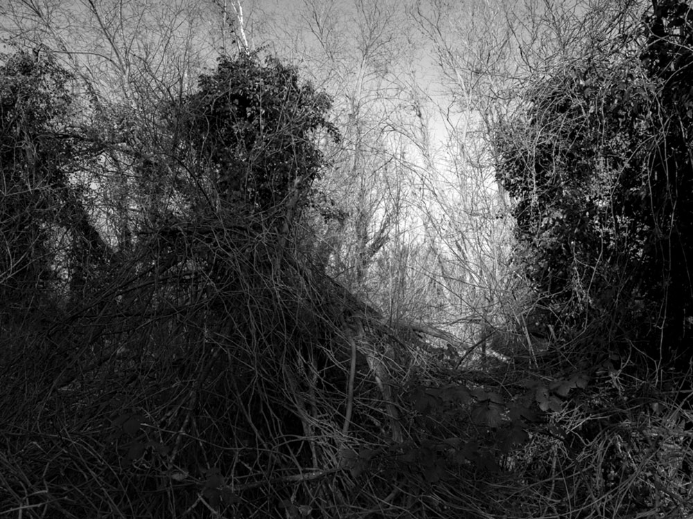 Motive aus der Arbeit „Roots Retropia Rage Repeat“ von Florian Albrecht-Schoeck