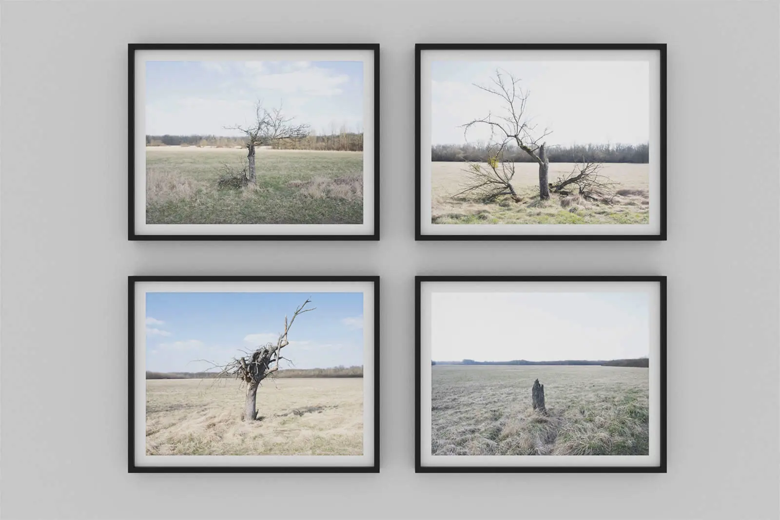 2020. 2021. 2022. 2023. - Fotografie Arbeit von Florian Albrecht-Schoeck