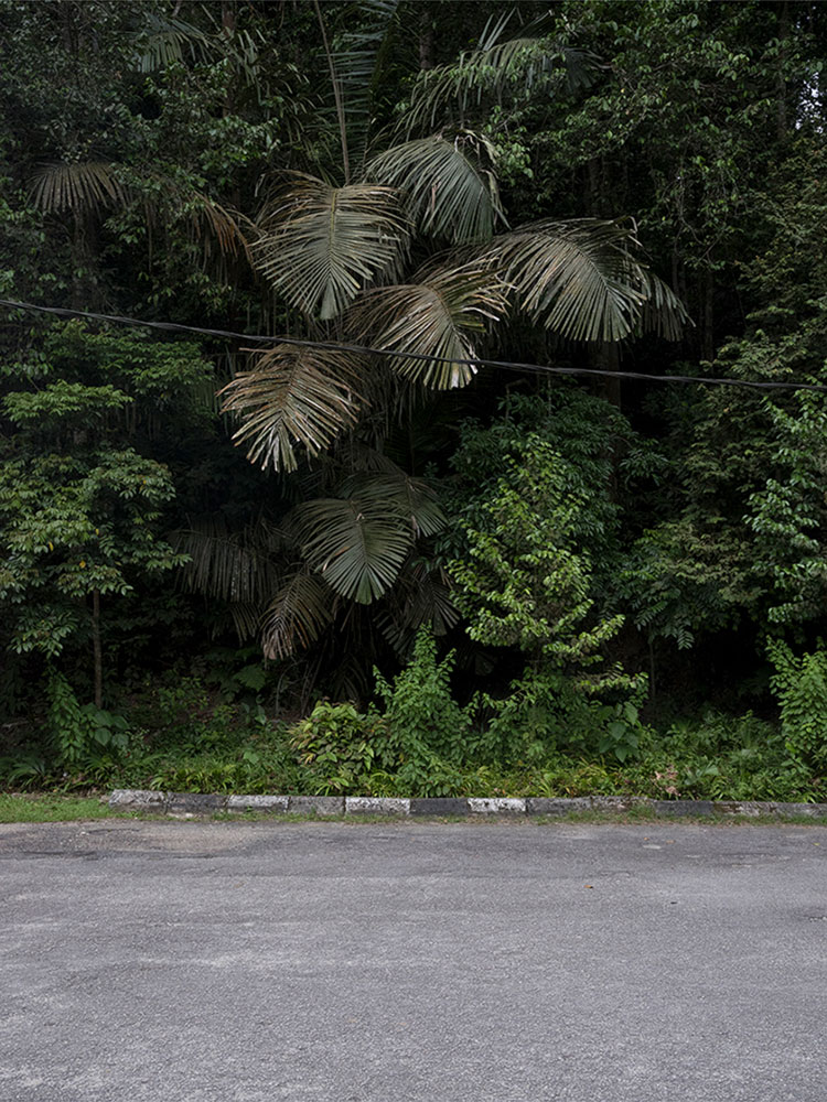 Motive aus der Arbeit „Roots Retropia Rage Repeat“ von Florian Albrecht-Schoeck