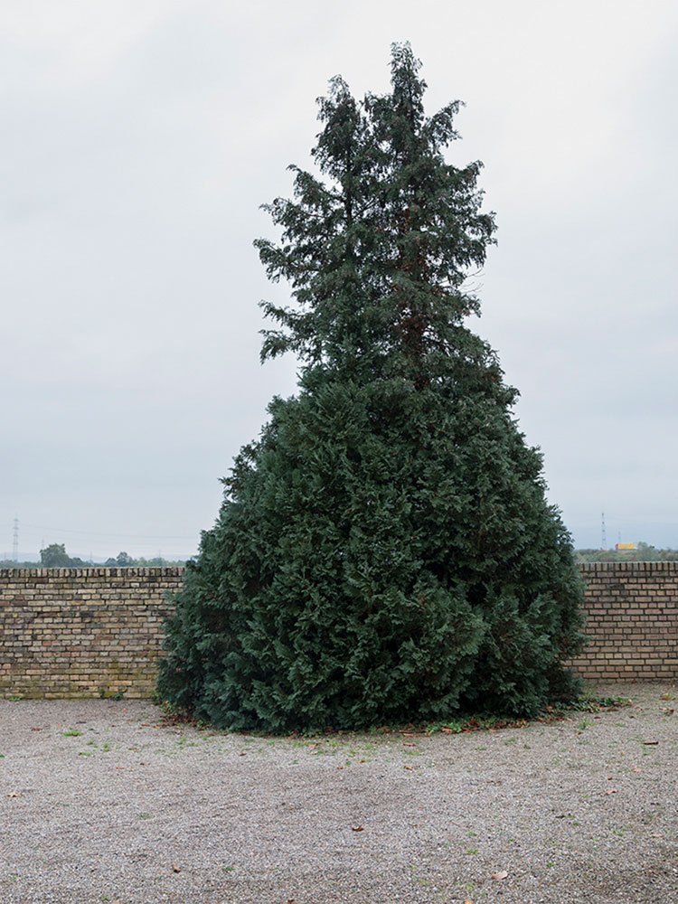 Motive aus der Arbeit „Roots Retropia Rage Repeat“ von Florian Albrecht-Schoeck