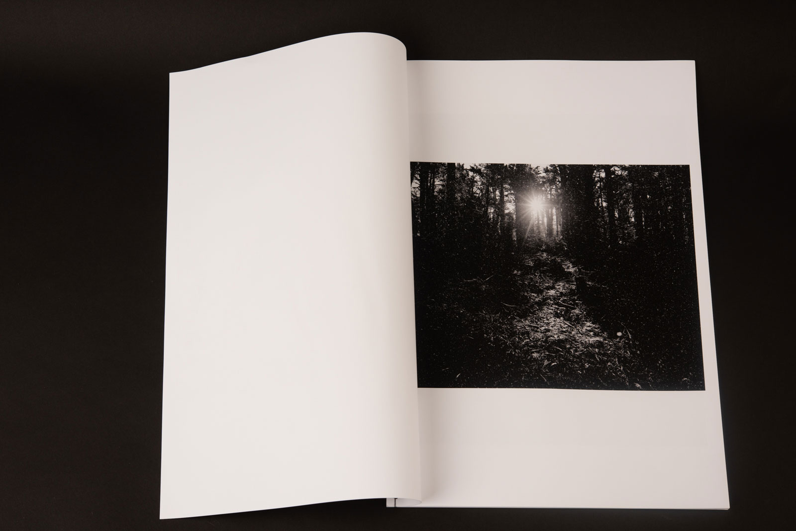 Buch-Edition des ersten Kapitels meiner neuen Arbeit „How it starts — and how it ends“