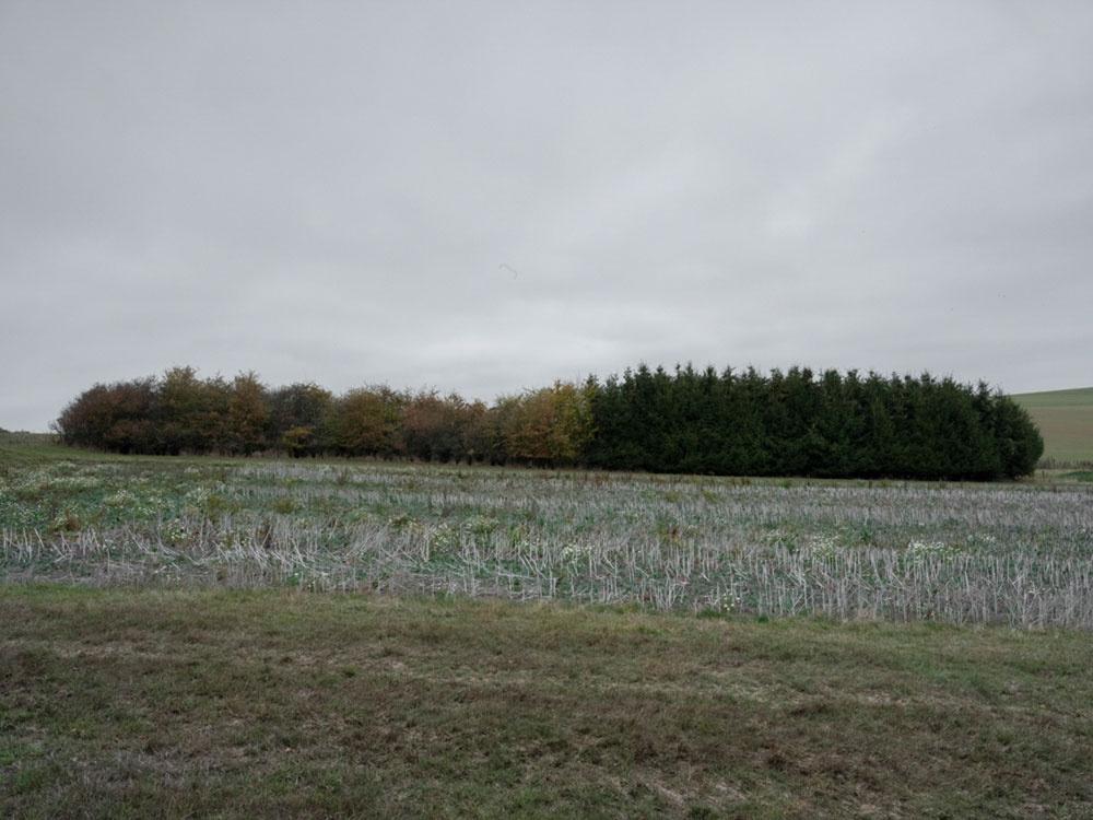 Motive aus der Arbeit „Roots Retropia Rage Repeat“ von Florian Albrecht-Schoeck