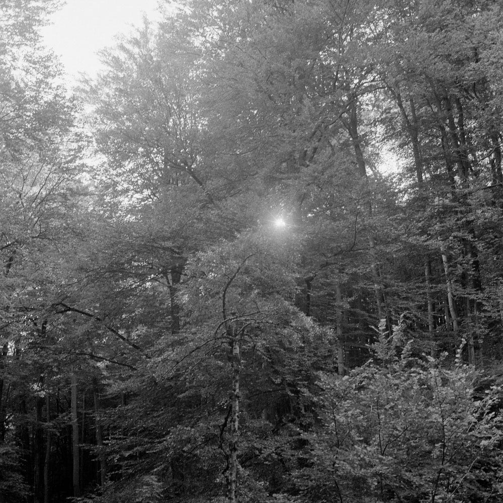 Motive aus der Arbeit „Vaterland“ von Florian Albrecht-Schoeck