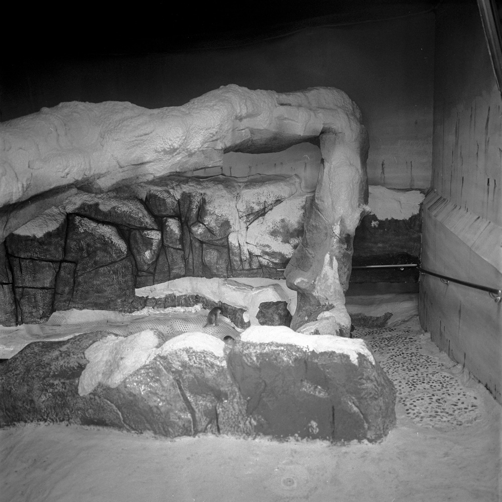 Bild aus der Fotografie Arbeit „Two One Zero (Heimat/Homeland IX)“ von Florian Albrecht-Schoeck.