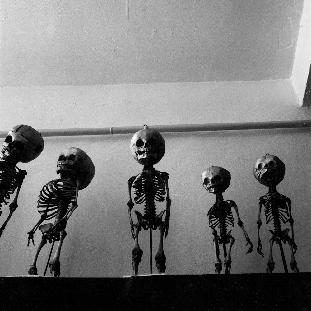 Motive aus der Arbeit „Vaterland“ von Florian Albrecht-Schoeck