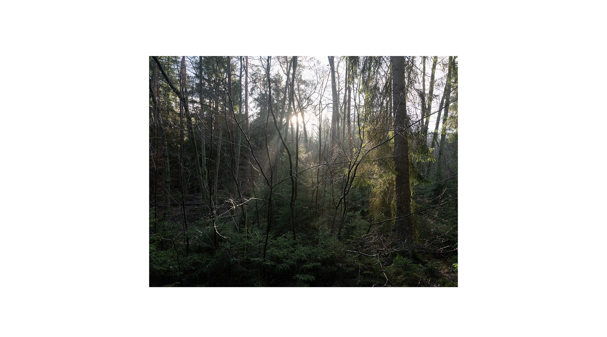 Motiv aus der fotografischen Arbeit „Hi Slave“ von Florian Albrecht-Schoeck.