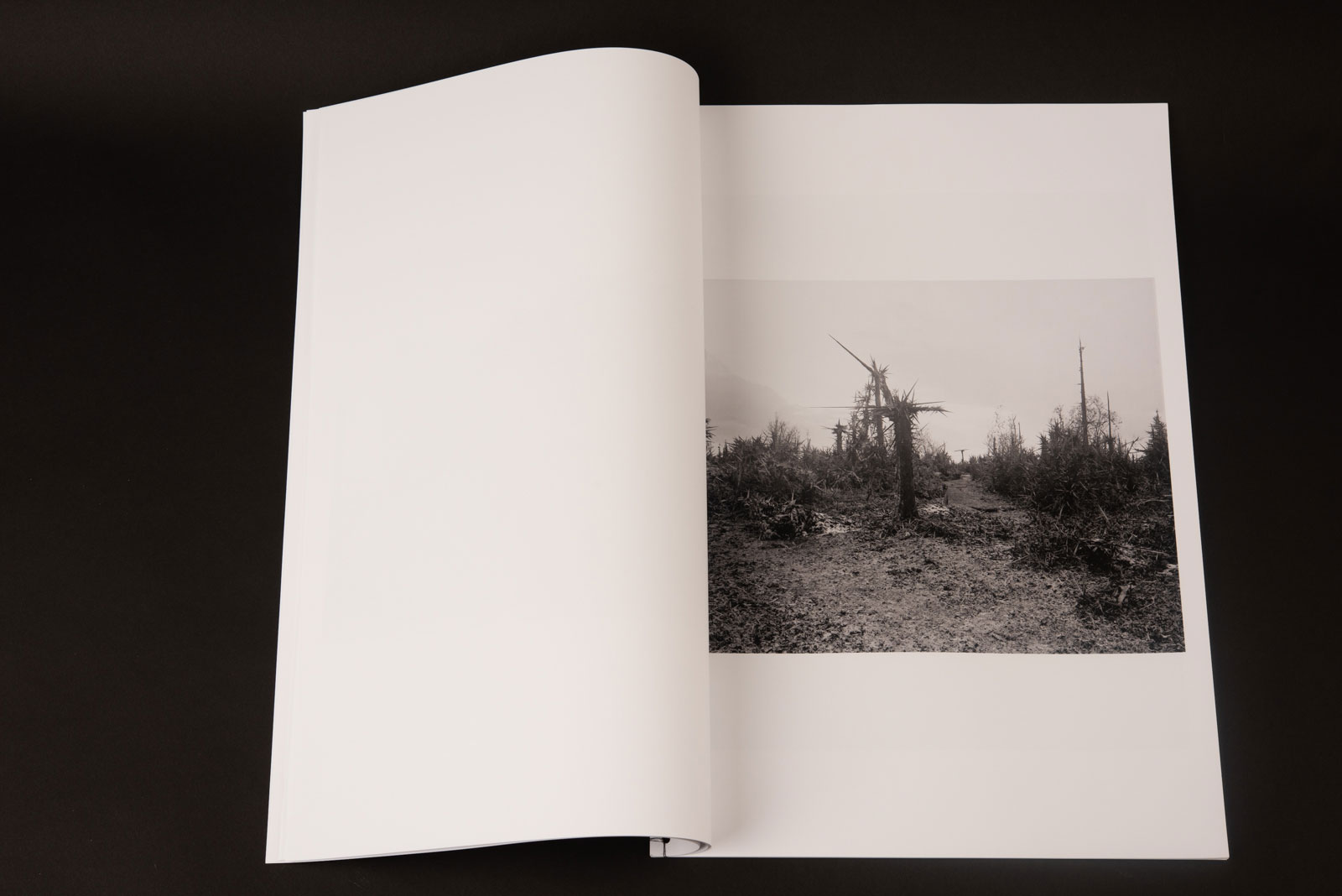 Buch-Edition des ersten Kapitels meiner neuen Arbeit „How it starts — and how it ends“