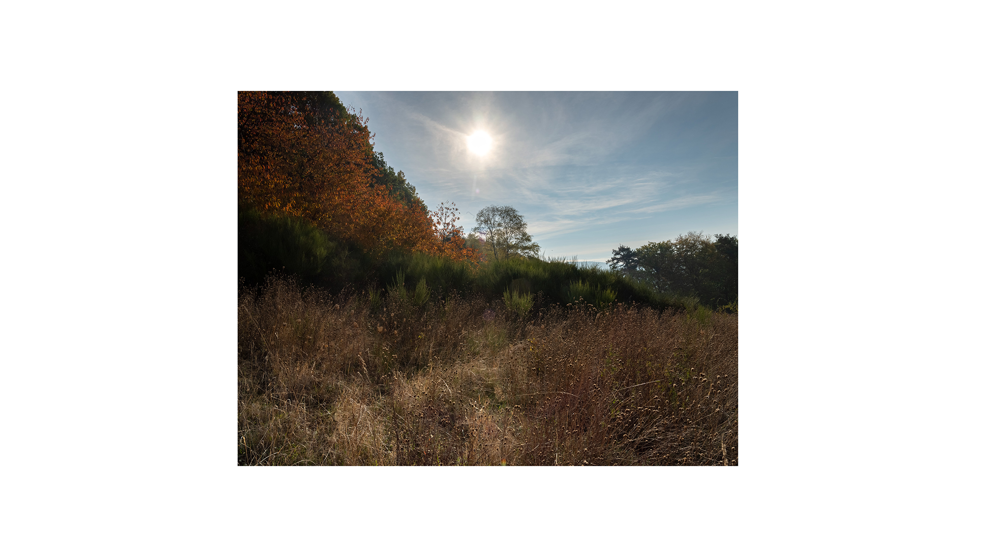 Motiv aus der fotografischen Arbeit „Hi Slave“ von Florian Albrecht-Schoeck.