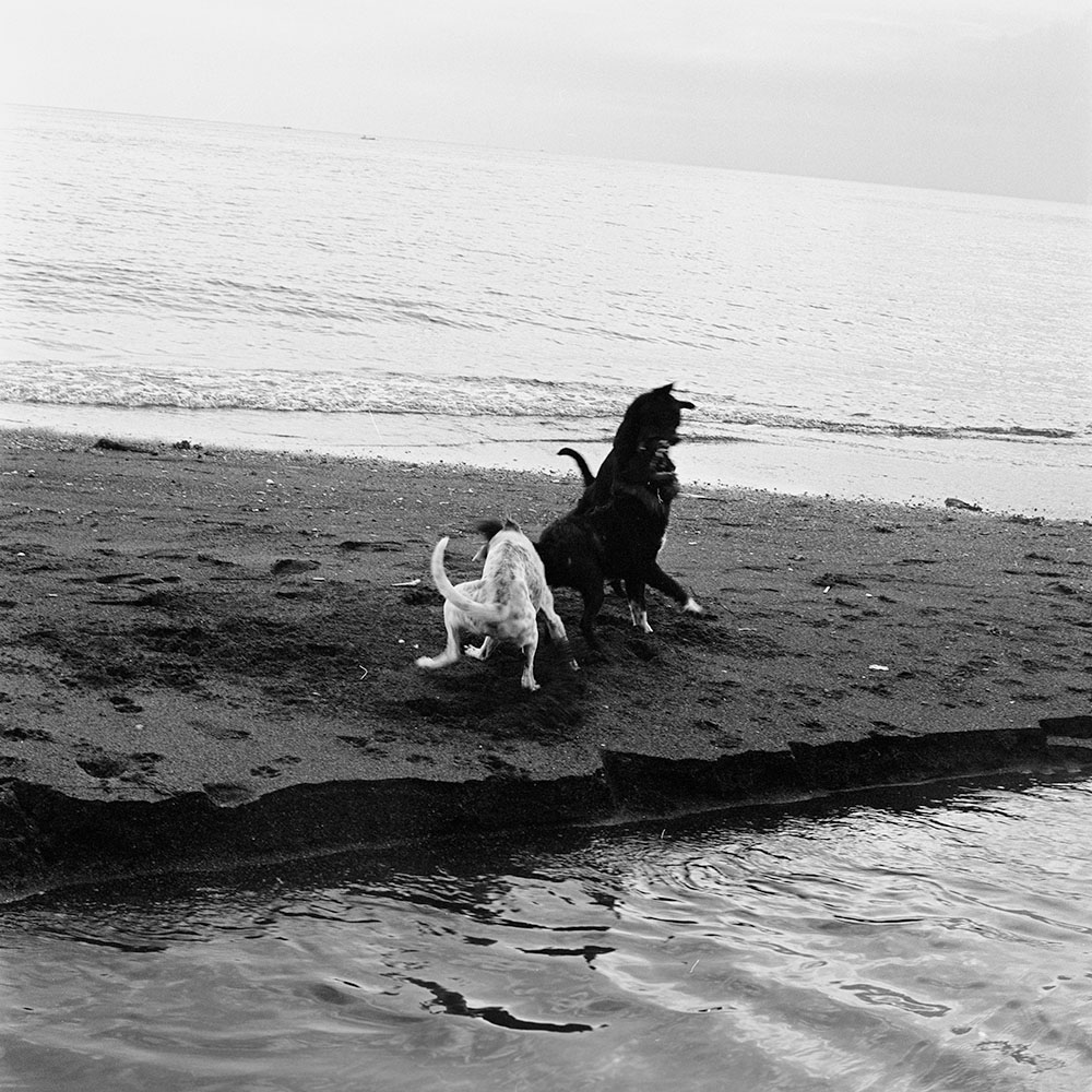 Bild aus der Fotografie Arbeit „Lost (Heimat V / Homeland V)“ von Florian Albrecht-Schoeck.