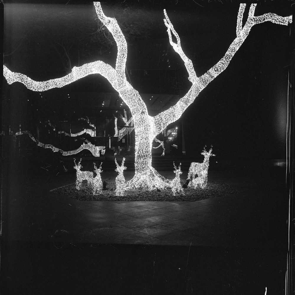 Bild aus der Fotografie Arbeit „Two One Zero (Heimat/Homeland IX)“ von Florian Albrecht-Schoeck.