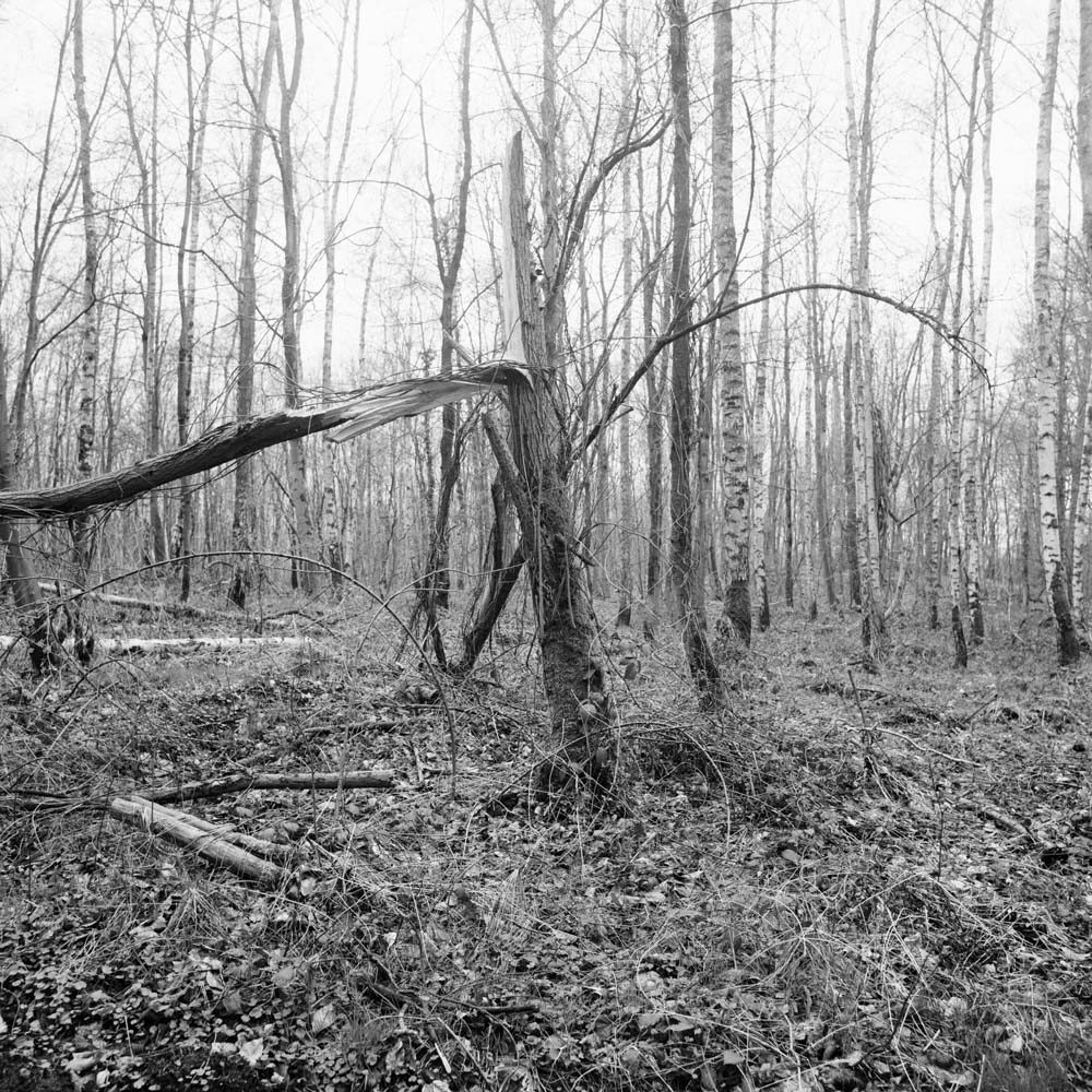 Bild aus der Arbeit „Build & Butch“ von Florian Albrecht-Schoeck.