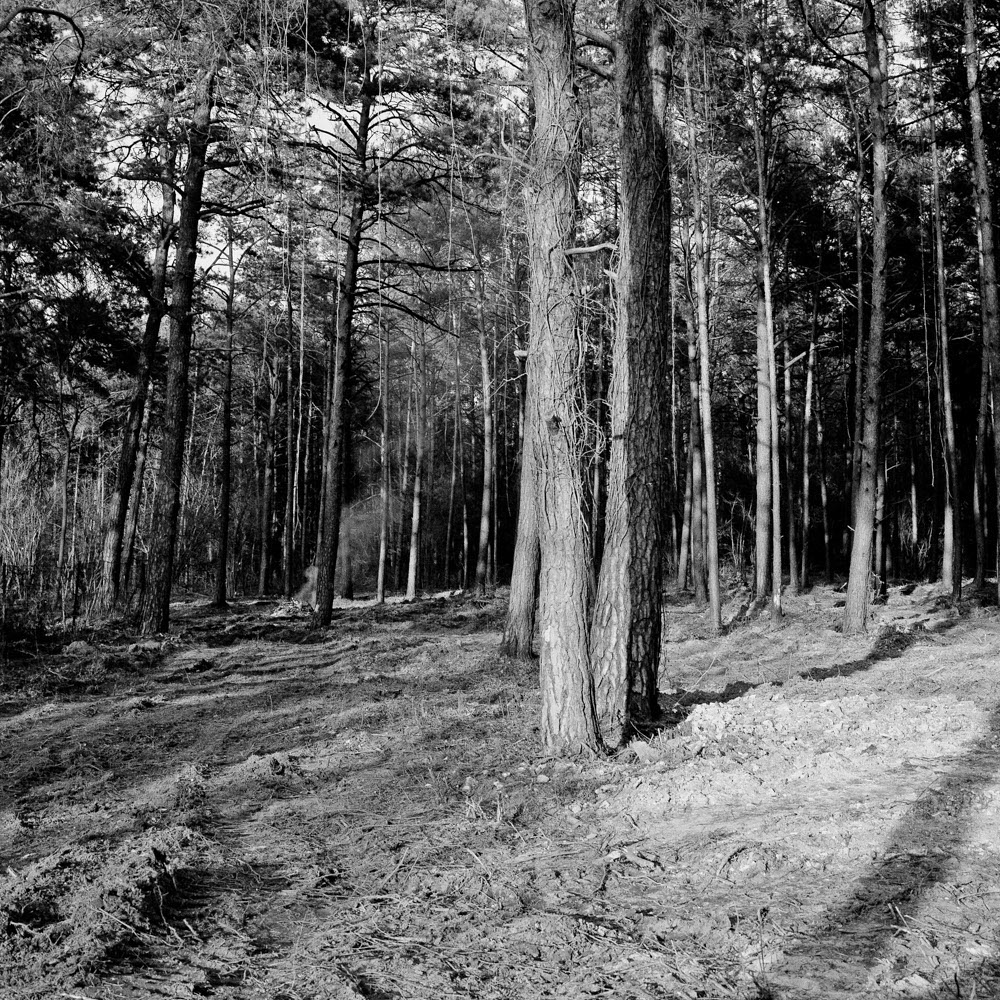 Motive aus der Arbeit „Vaterland“ von Florian Albrecht-Schoeck
