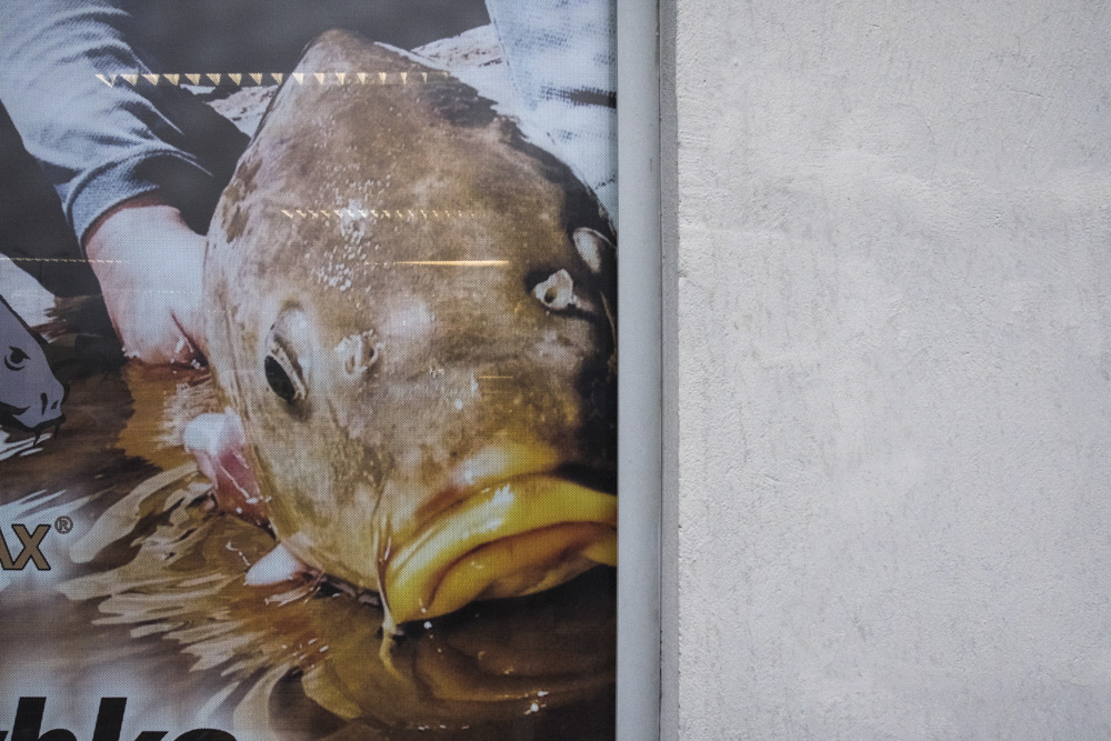 Eine Fotografie Arbeit über Angst in der Gesellschaft: #GEEINTINANGST von Florian Albrecht-Schoeck.