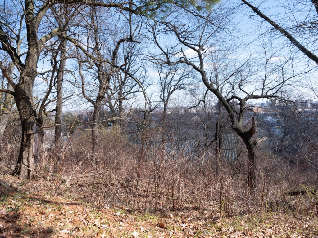 That’s life? - Die Bilder der Arbeit entstanden während einer Reise Jahr 2023.