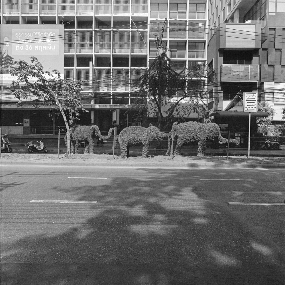 Bild aus der Fotografie Arbeit „Two One Zero (Heimat/Homeland IX)“ von Florian Albrecht-Schoeck.