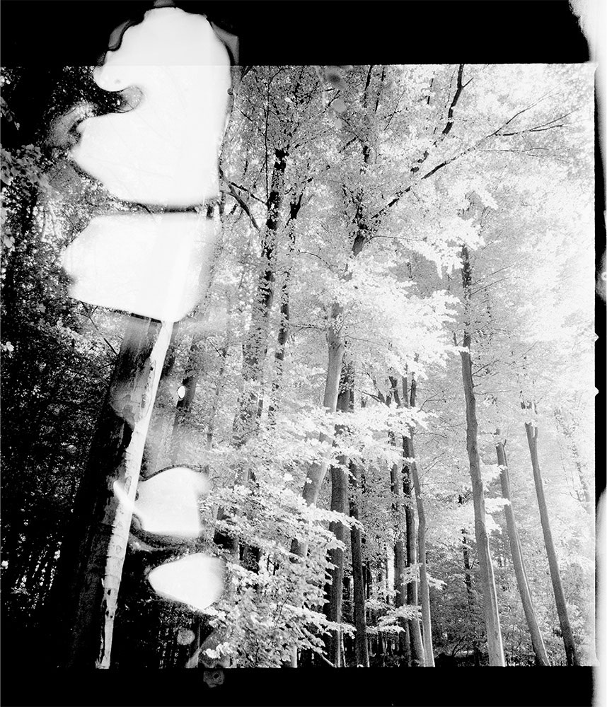 Bild der Werkgruppe „Heimat (2008)“ von Florian Albrecht-Schoeck / Image the workgroup „Homeland (2008)“ by Florian Albrecht-Schoeck