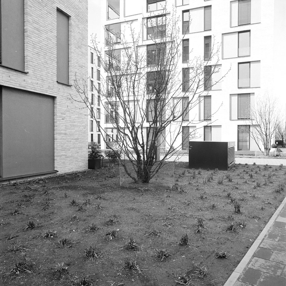 Bild aus der Arbeit „Real Semantik (Heimat/Homeland VIII)“ von Florian Albrecht-Schoeck.