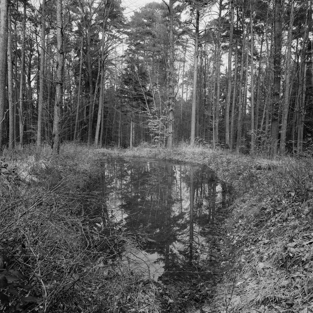 Bild aus der Arbeit „Real Semantik (Heimat/Homeland VIII)“ von Florian Albrecht-Schoeck.