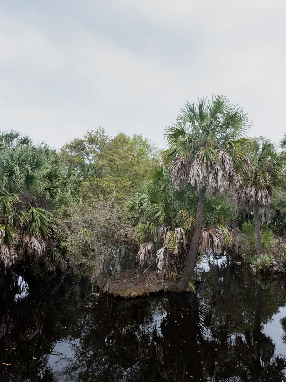 That’s life? - Die Bilder der Arbeit entstanden während einer Reise Jahr 2023.