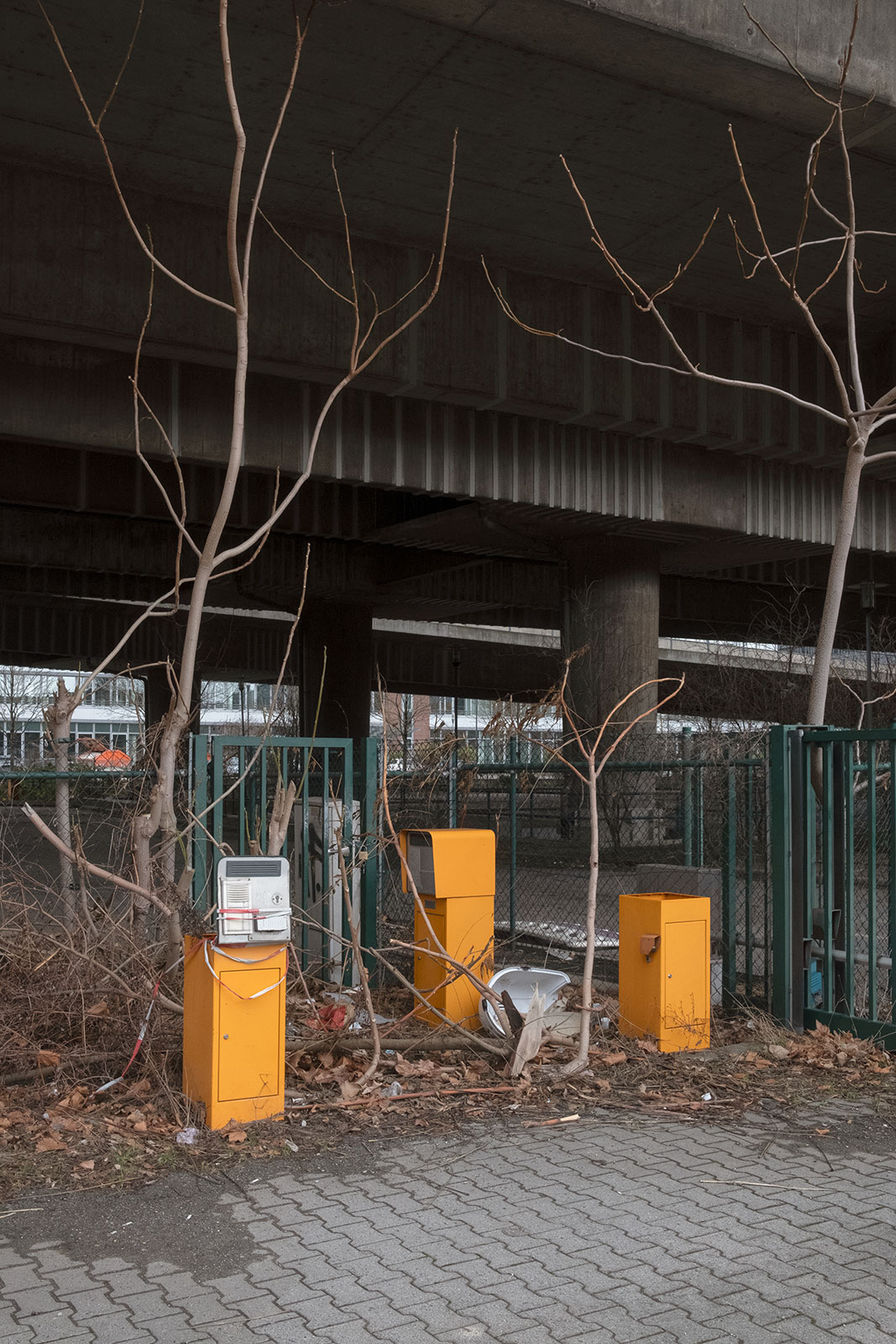 Teil XII: Zweitausend drei und zwanzig: Ein persönlicher Jahresrückblick in einer Welt, in dem meine Schuhe wie Enten auf Crack klingen, und sich umgeben von Angeboten, die Menschheit scheinbar selbst nicht mehr verstehen möchte.