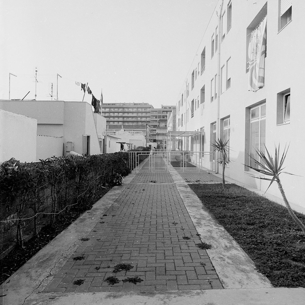 Bild der Werkgruppe „Minha Terra (Heimat III, 2009)“ von Florian Albrecht-Schoeck / Image the workgroup „Minha Terra (Homeland III, 2009)“ by Florian Albrecht-Schoeck