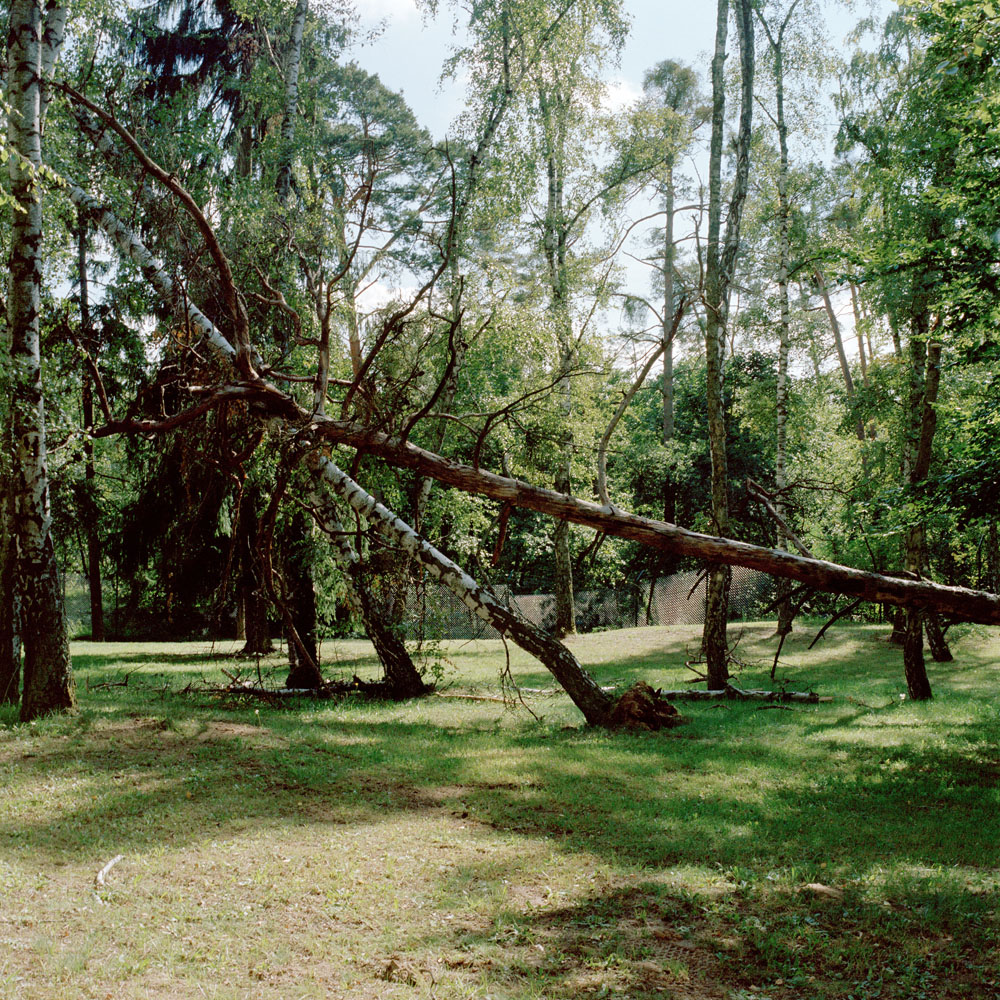 Motive aus der Arbeit „Crusaders“ von Florian Albrecht-Schoeck