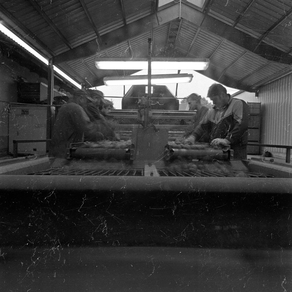 Bild aus der Fotografie Arbeit „ Verzehren und Verzerren (Heimat IV/Homeland IV)“ von Florian Albrecht-Schoeck.