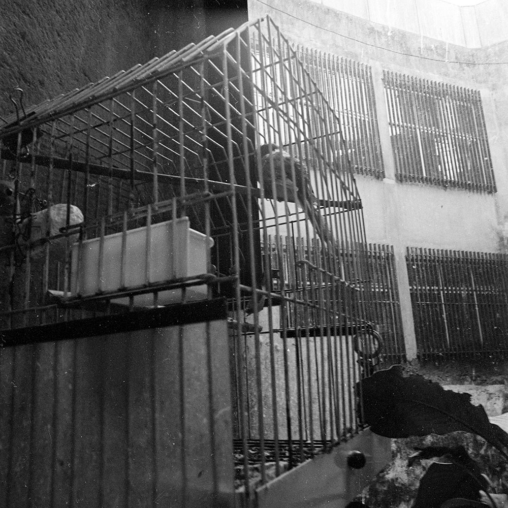 Bild der Werkgruppe „Minha Terra (Heimat III, 2009)“ von Florian Albrecht-Schoeck / Image the workgroup „Minha Terra (Homeland III, 2009)“ by Florian Albrecht-Schoeck