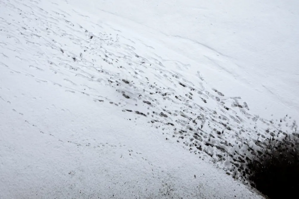 Politische Fotokunst von Florian Albrecht-Schoeck: #GEEINTINANGST