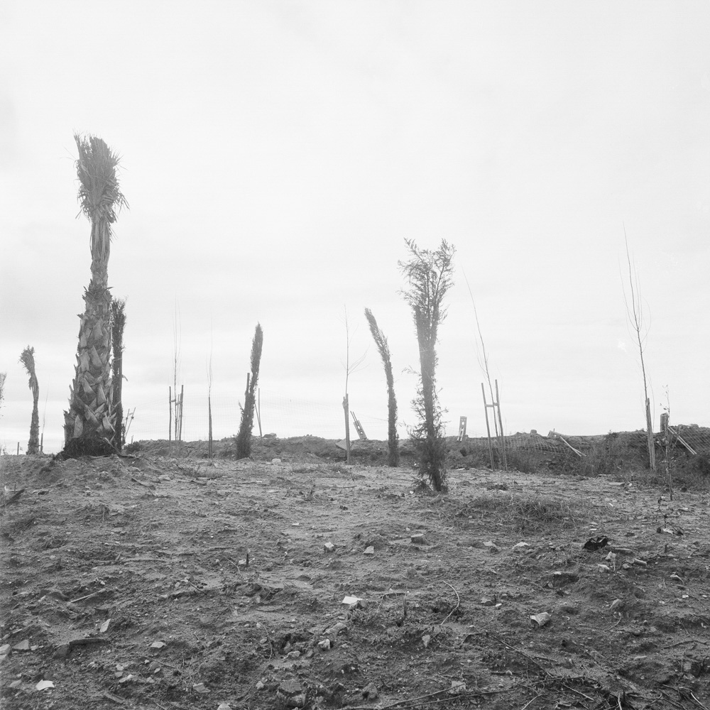 Motive aus der Arbeit „Fabled City (Heimat/Homeland VII)“ von Florian Albrecht-Schoeck