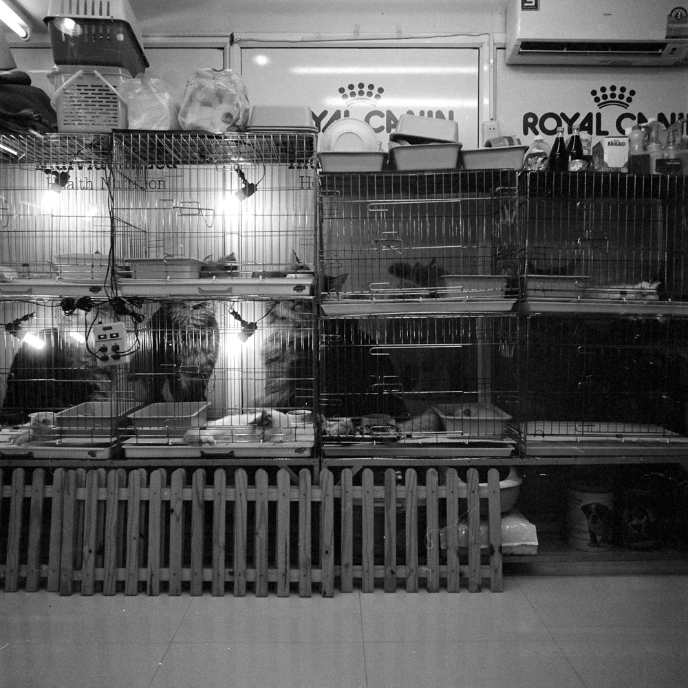 Bild aus der Fotografie Arbeit „Two One Zero (Heimat/Homeland IX)“ von Florian Albrecht-Schoeck.