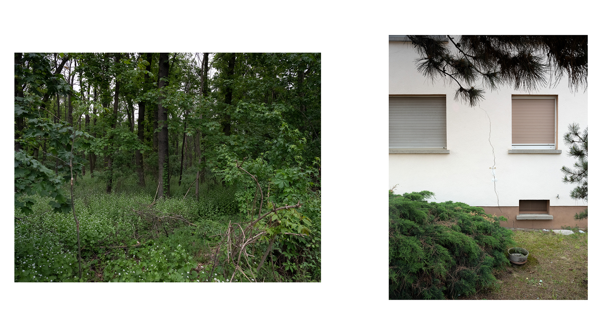 Motiv aus der fotografischen Arbeit „Hi Slave“ von Florian Albrecht-Schoeck.