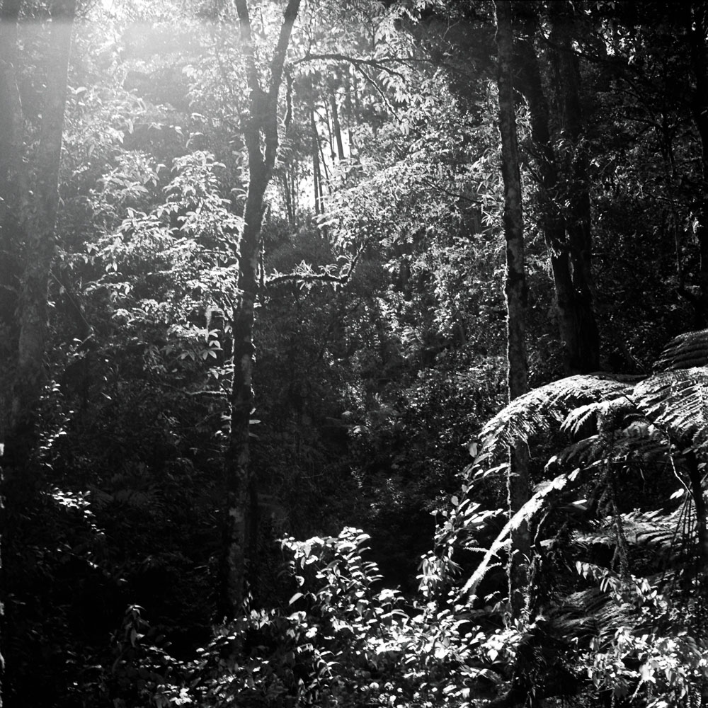 Bild aus der Fotografie Arbeit „Lost (Heimat V / Homeland V)“ von Florian Albrecht-Schoeck.