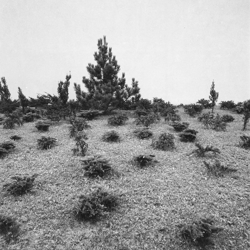 Bild aus der Arbeit „After Aftermath“ von Florian Albrecht-Schoeck.