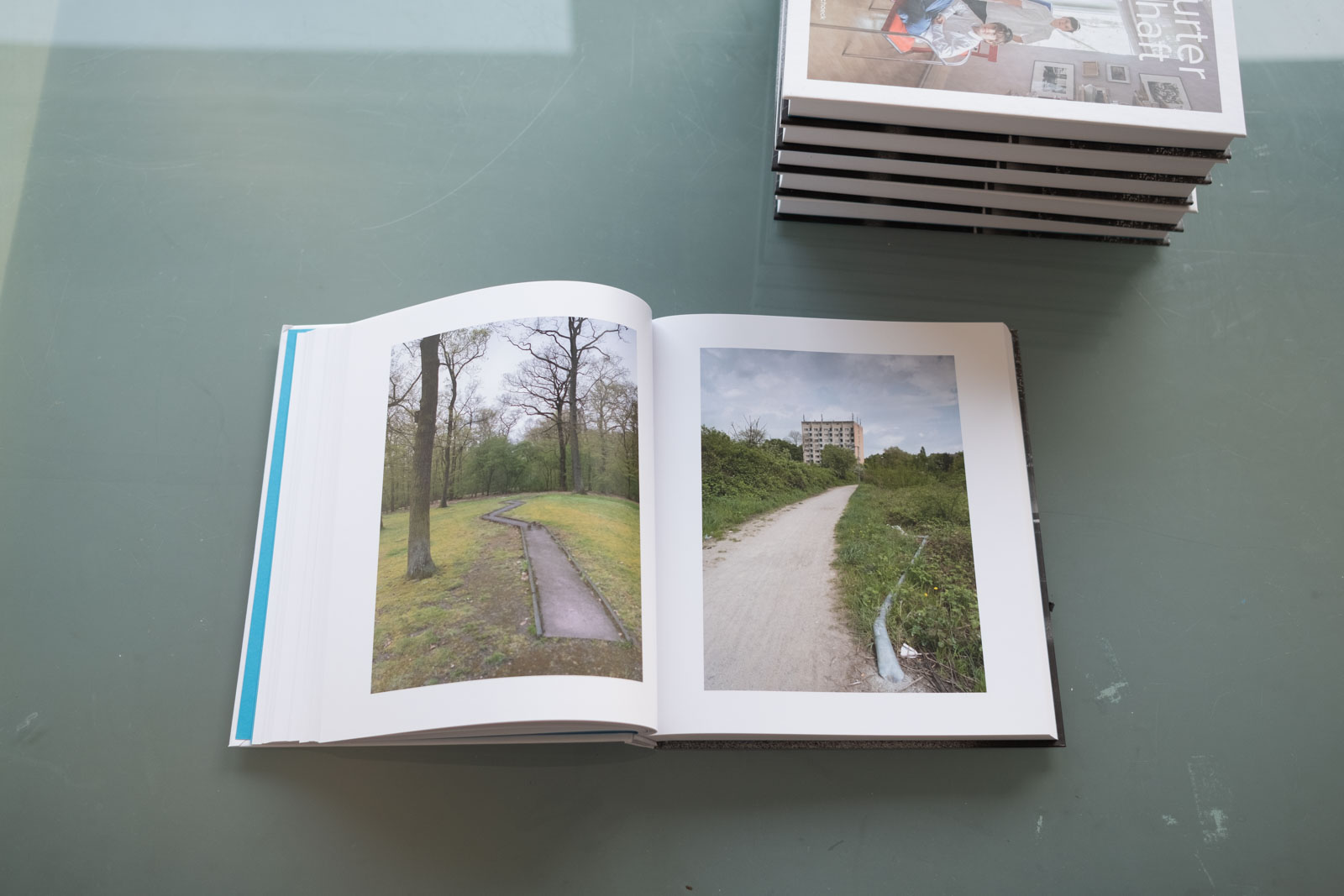 Das Fotobuch: „In Frankfurter Gesellschaft“