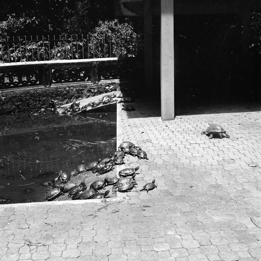 Bild aus der Fotografie Arbeit „Lost (Heimat V / Homeland V)“ von Florian Albrecht-Schoeck.