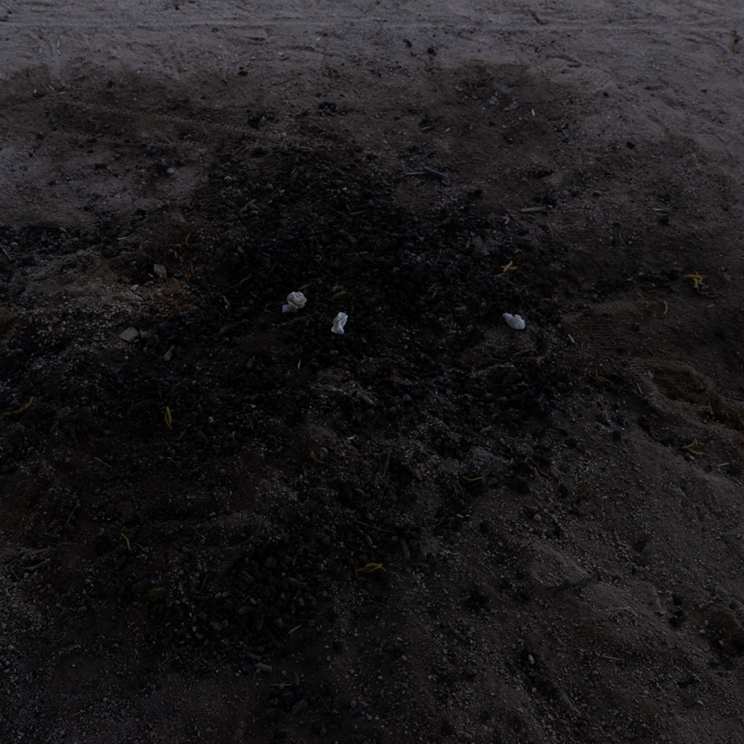 Teil X: „Ich habe heute Nacht geträumt, dass die Welt untergeht. “