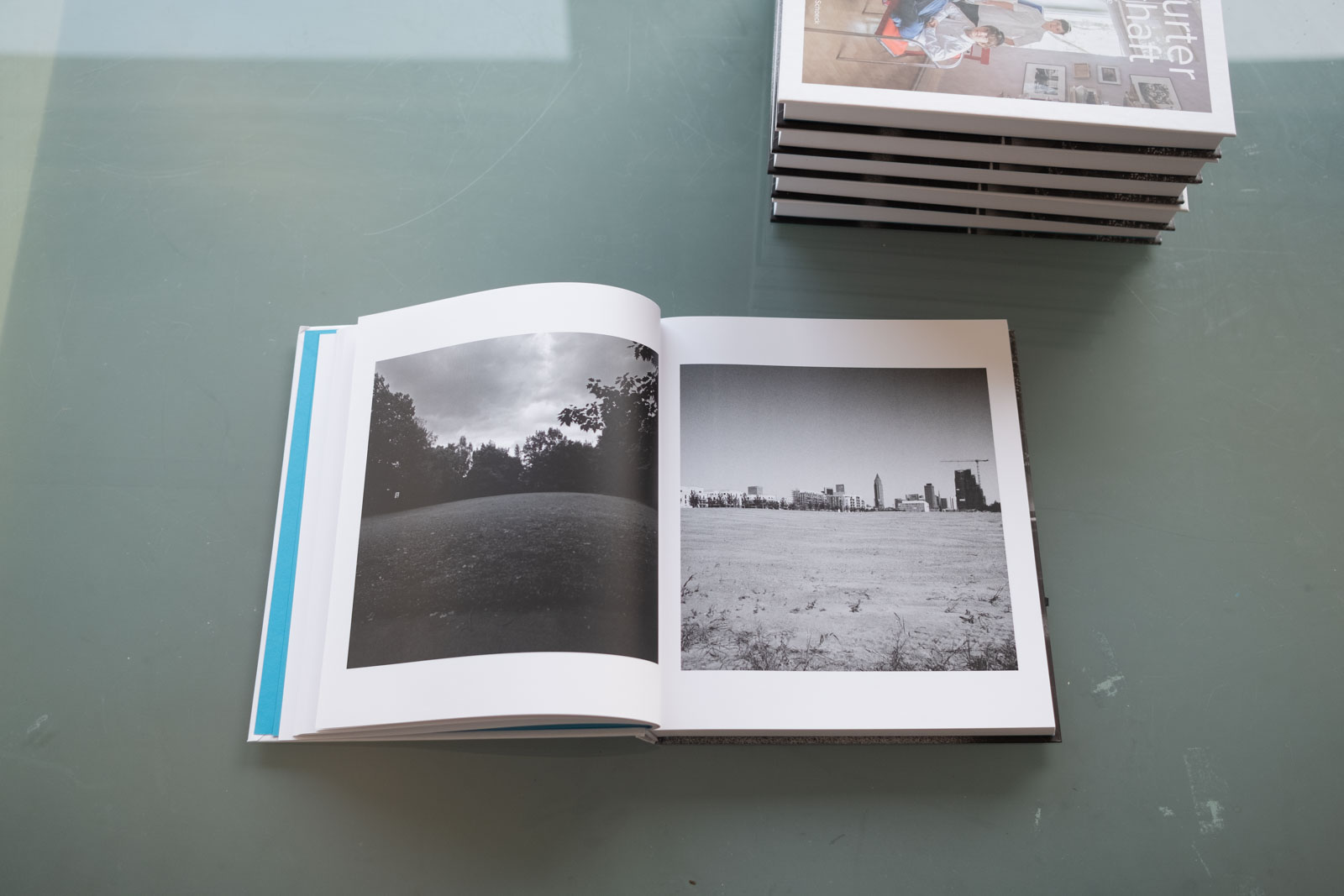 Das Fotobuch zum Fotografie-Projekt „In Frankfurter Gesellschaft“. Mit Fotografien von Anna Pekala und Florian Albrecht-Schoeck.