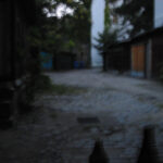 Mein erstes Digitalfoto 2014.