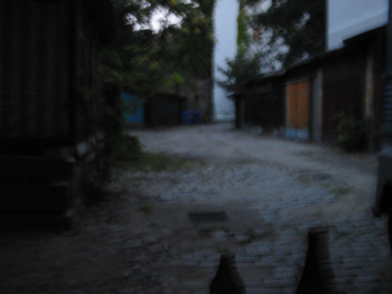 Mein erstes Digitalfoto 2014.