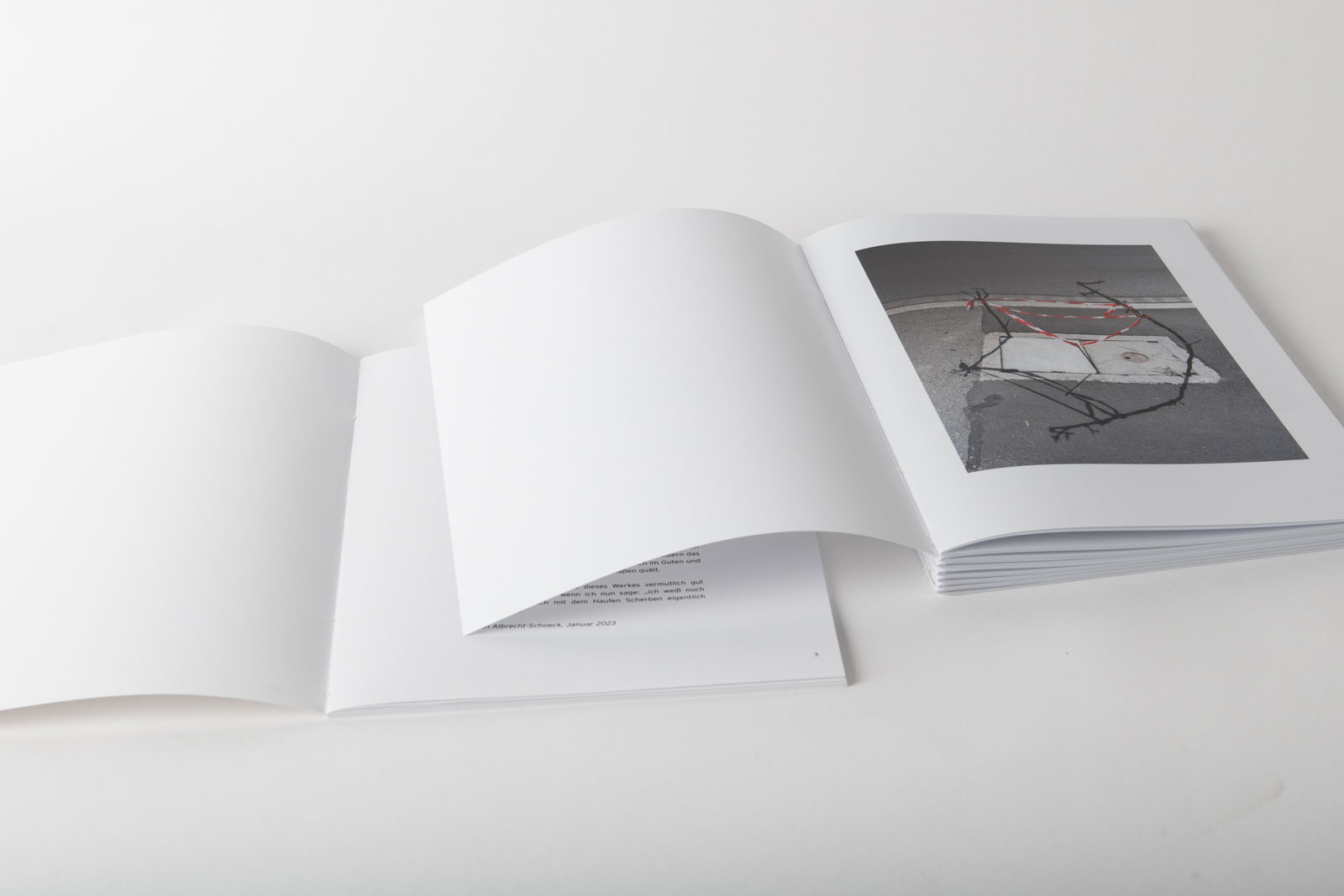 Die ersten Bilder der handgebundenen Buch-Edition von „Not Alone“. Die Buch-Edition besteht aus zwei Büchern.