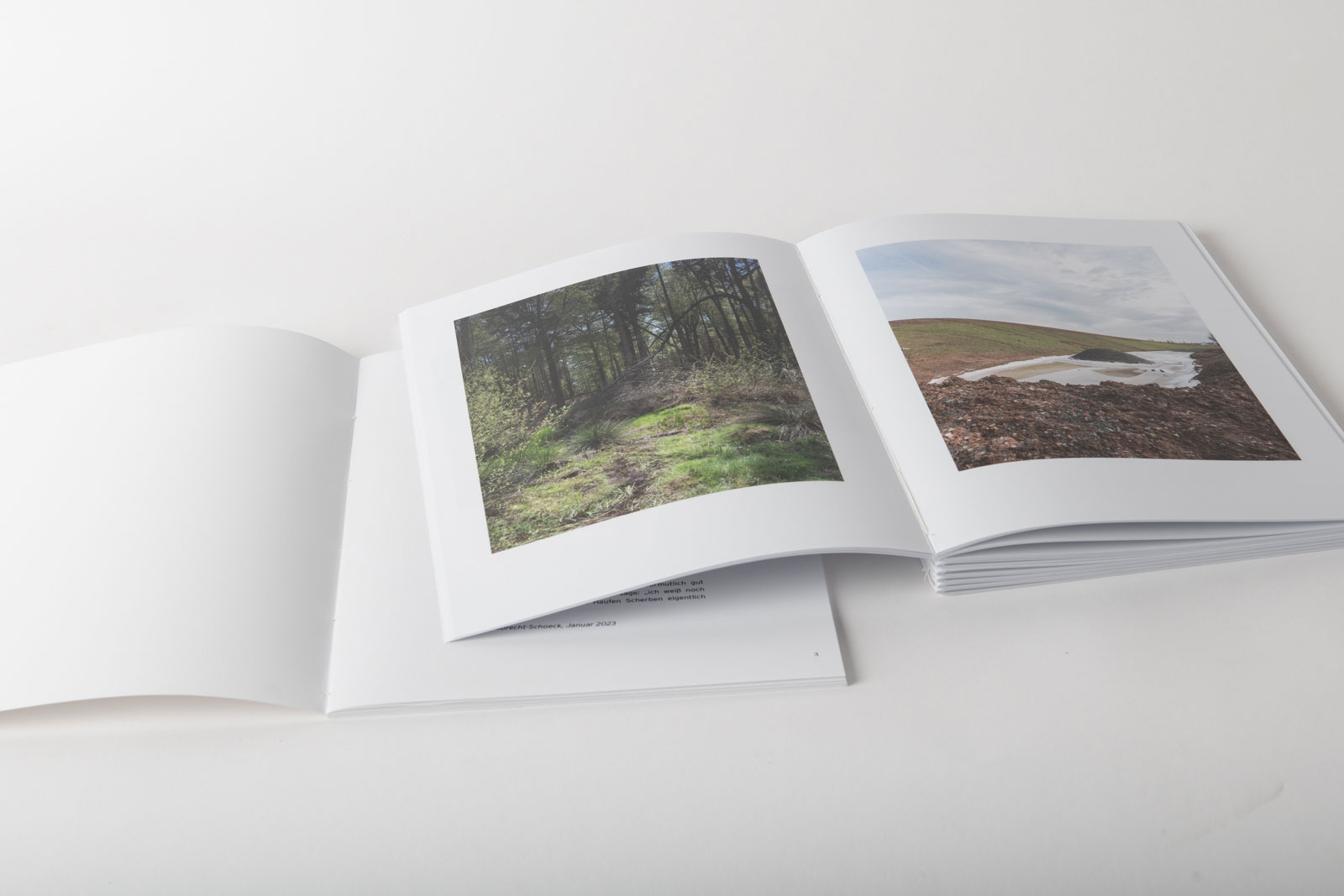 Die ersten Bilder der handgebundenen Buch-Edition von „Not Alone“. Die Buch-Edition besteht aus zwei Büchern.