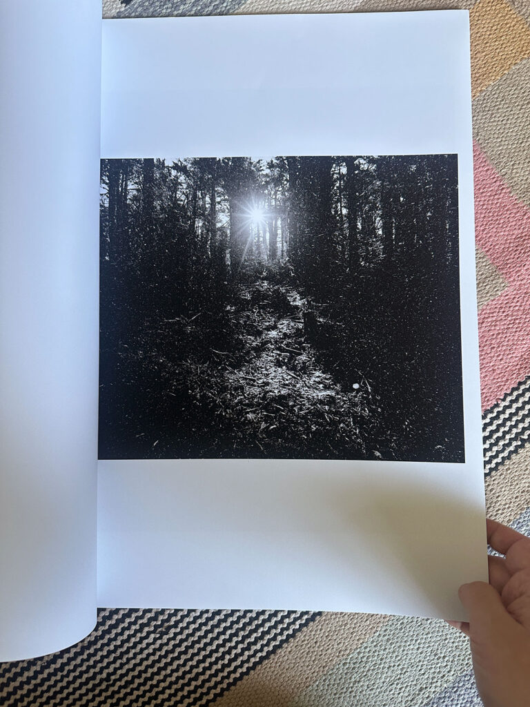 Buch-Edition Teil 1 von „How it starts — and how it ends“